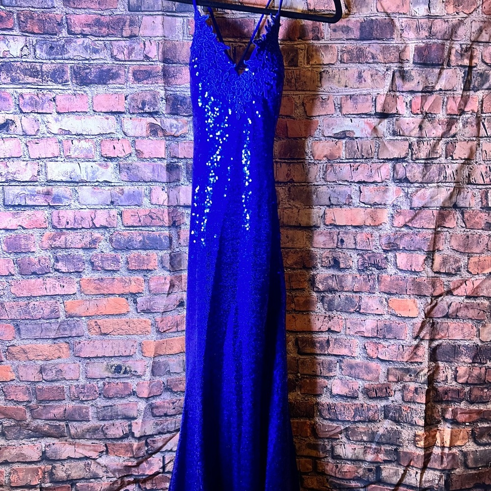 Blue sequin gown.